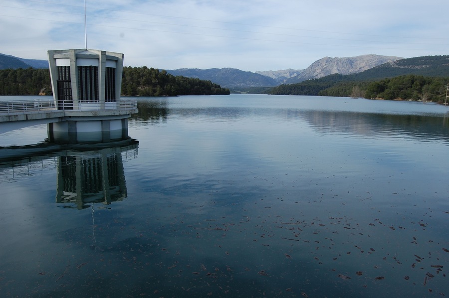 PANTANO AL 100 POR 100