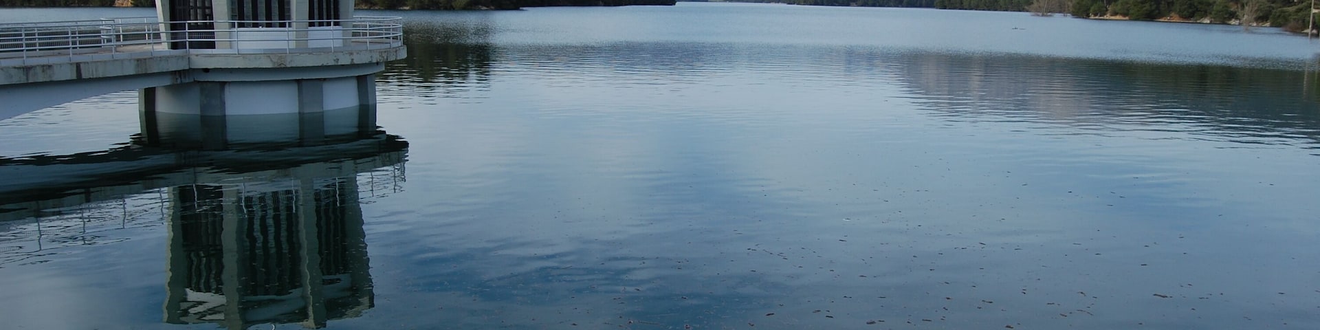 PANTANO AL 100 POR 100