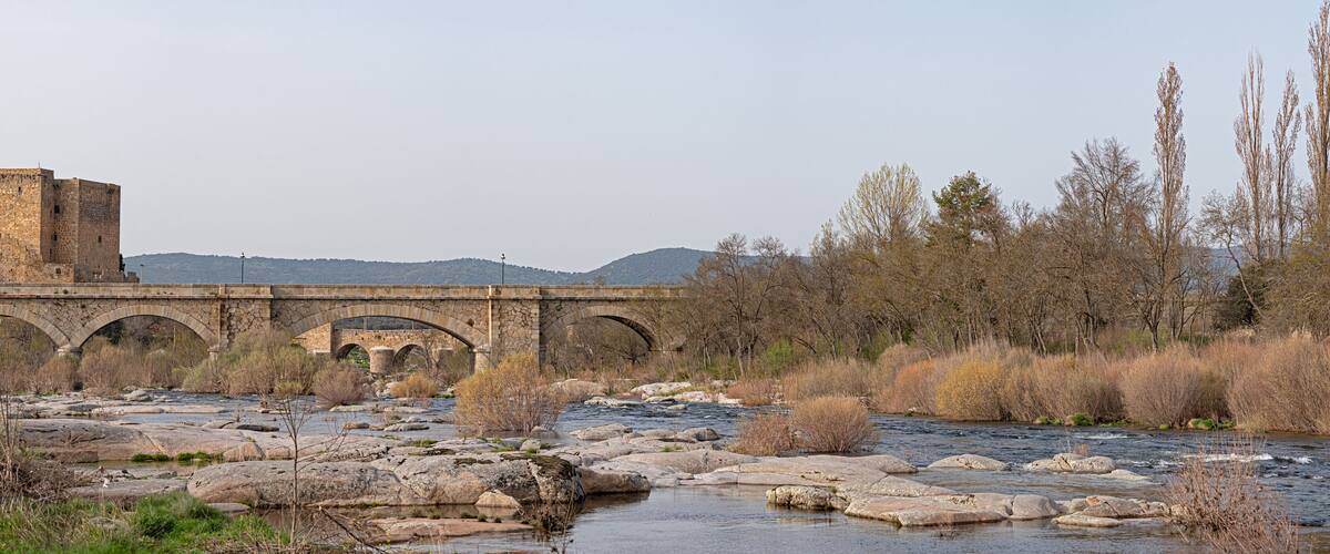 A stone bridge over a river with a castle in the background.