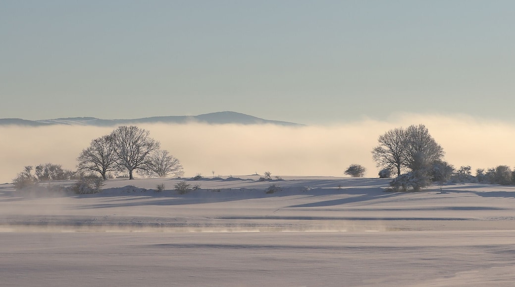 Esta foto fue tomada en el Embalse del Ebro, Campoo, en la provincia de Cantabria, España