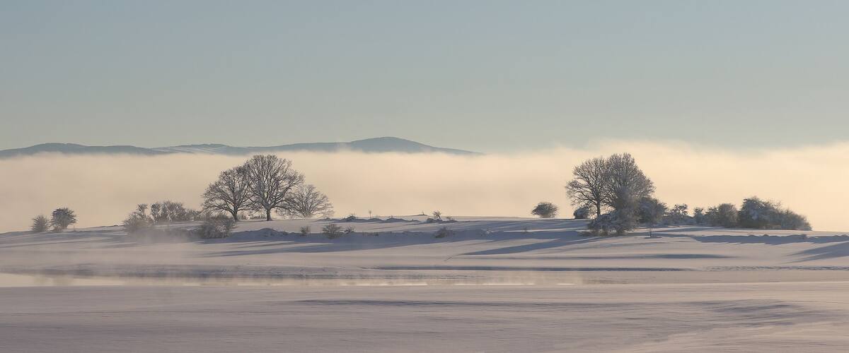 A snowy landscape with a lake, trees, and mountains in the background.