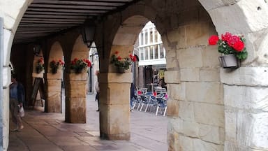 Foto - agosto 2018 Cidade rodeada de belas montanhas e perto desta situa-se a nascente do rio Ebro