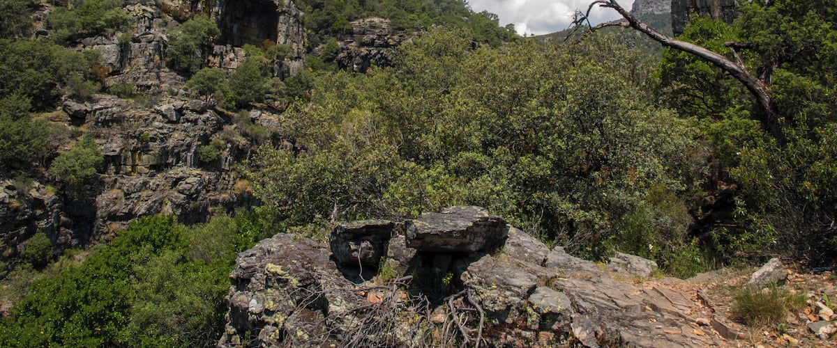 A rugged mountainous landscape with rocky outcrops and dense green vegetation under a clear blue sky.