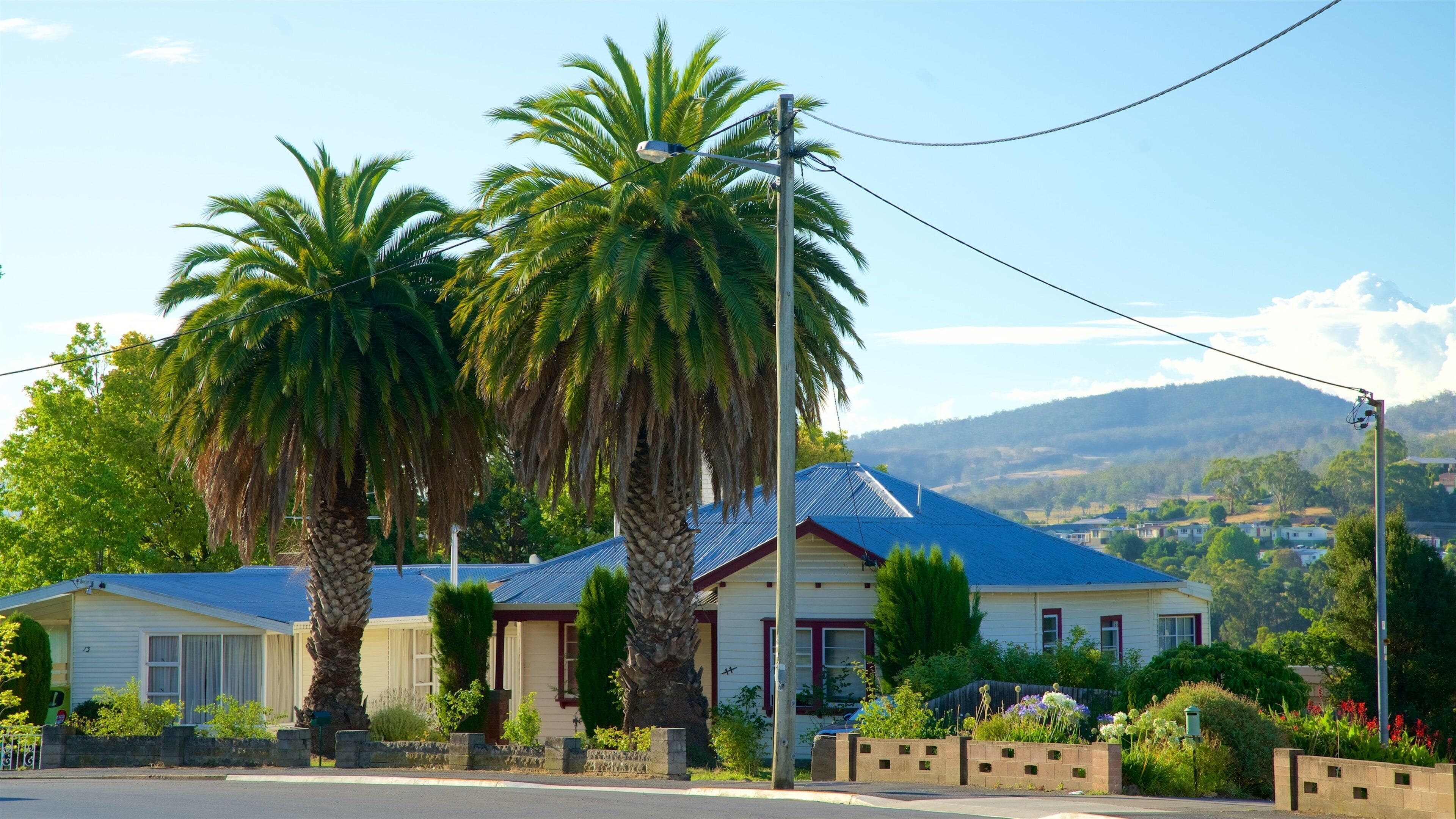 New Norfolk som inkluderar ett hus