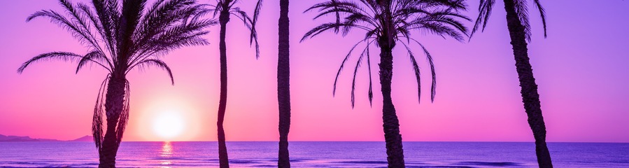 Seascape in the early morning during a beautiful purple sunrise. Palm trees on the beach. San Juan beach, Alicante, Spain