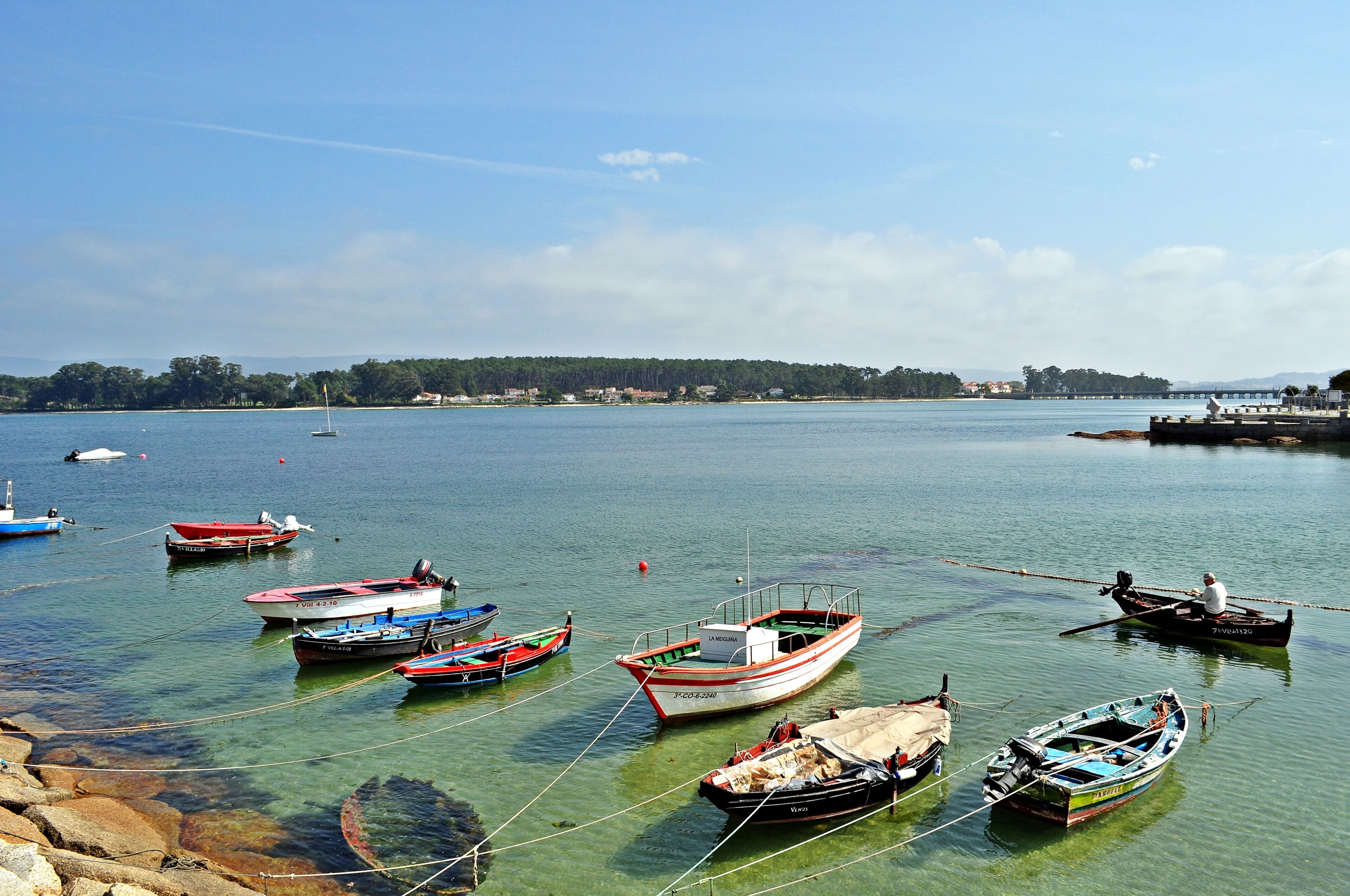 A calm harbor with various boats anchored in clear water, surrounded by a coastline with trees and buildings in the distance.