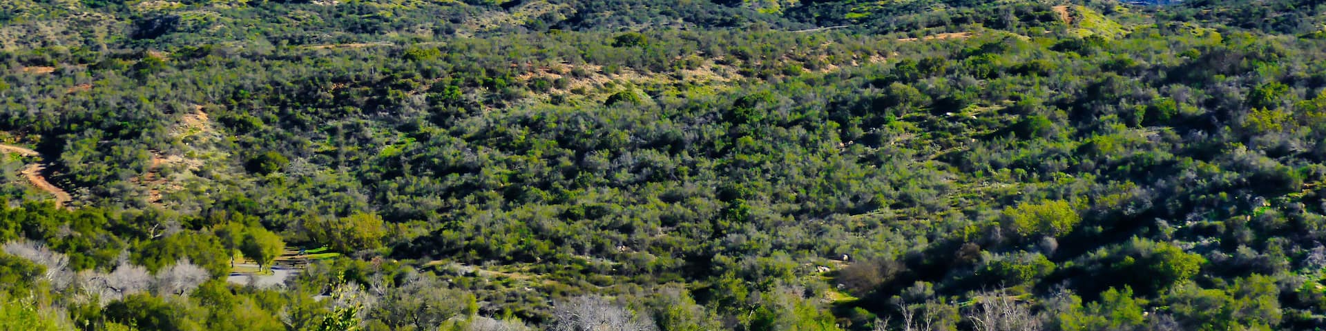 The Agua Tibia Wilderness in Cleveland National Forest, in the background the snowy peaks of the San Jacinto Range, Southern California, USA