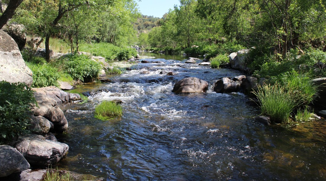 Río Tiétar, provincia de Toledo.