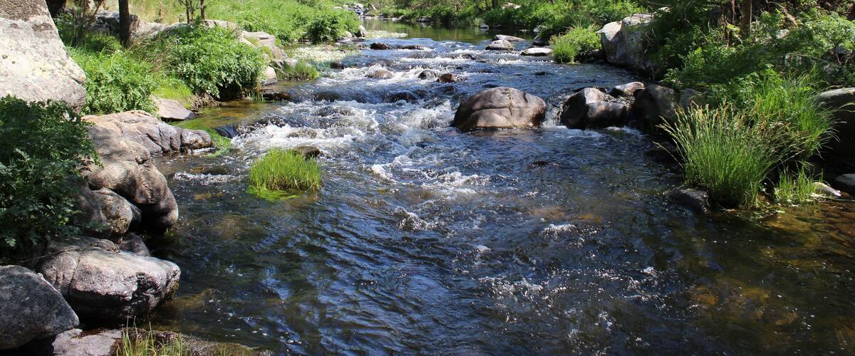 RĂo TiĂ©tar, provincia de Toledo.