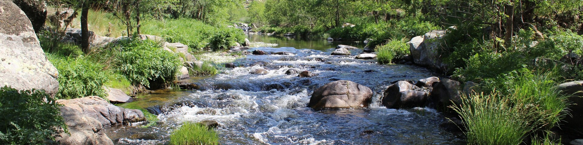 RĂo TiĂ©tar, provincia de Toledo.