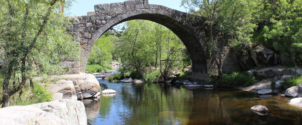 A stone bridge over a river surrounded by trees.