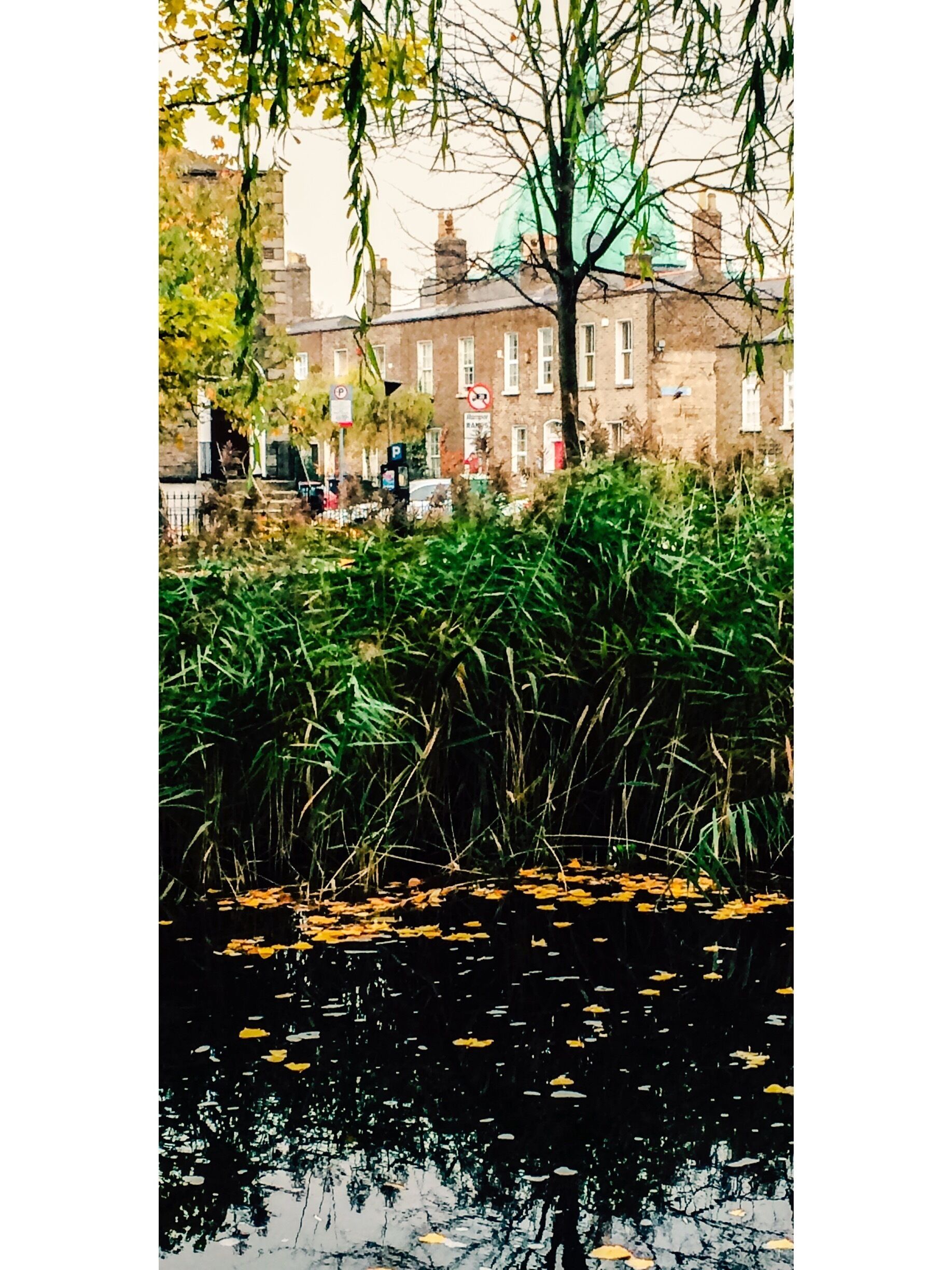 View from Grand Canal over to Rathmines Church 