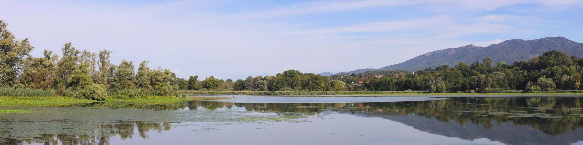 porticciolo di capolago sul lago di varese, italia, lake of varese, italy