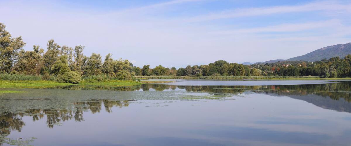 A calm lake with reflections of trees and mountains in the background.