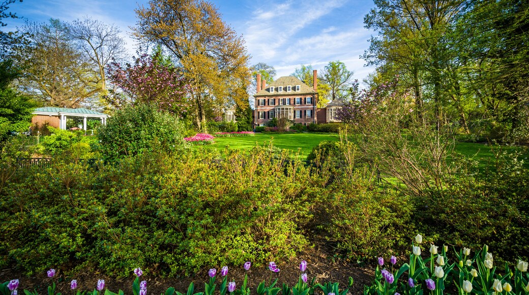 Gardens and large home at Sherwood Gardens Park, in Baltimore, M
