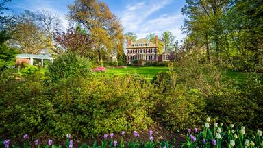 Gardens and large home at Sherwood Gardens Park, in Baltimore, M