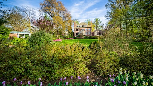 เชอร์วูด