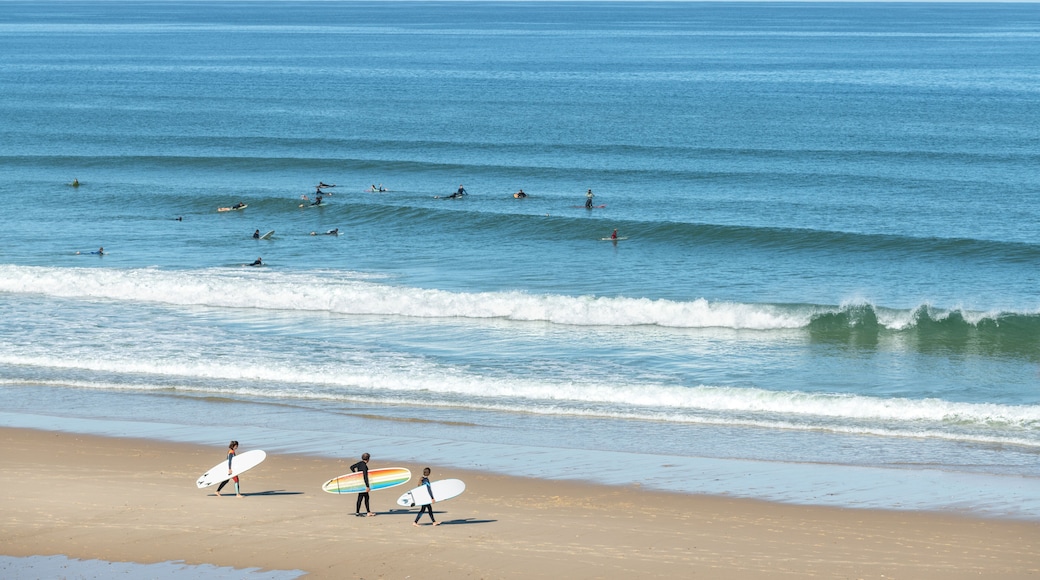 Carcans plage (Gironde, France), entre Lacanau et Hourtin sur la côte Atlantique