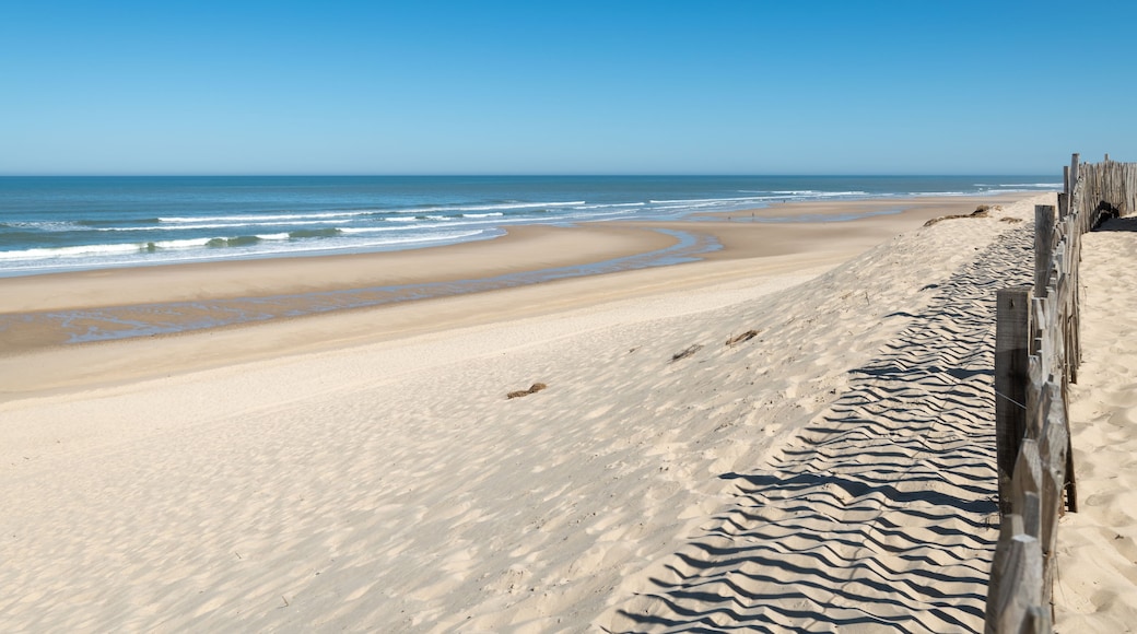 Carcans plage (Gironde, France), près de Lacanau