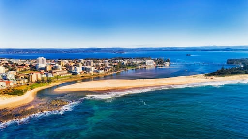 A coastal city with a beach, a bridge, and a large body of water.