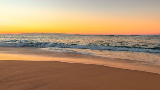 福雷斯特斯海滩