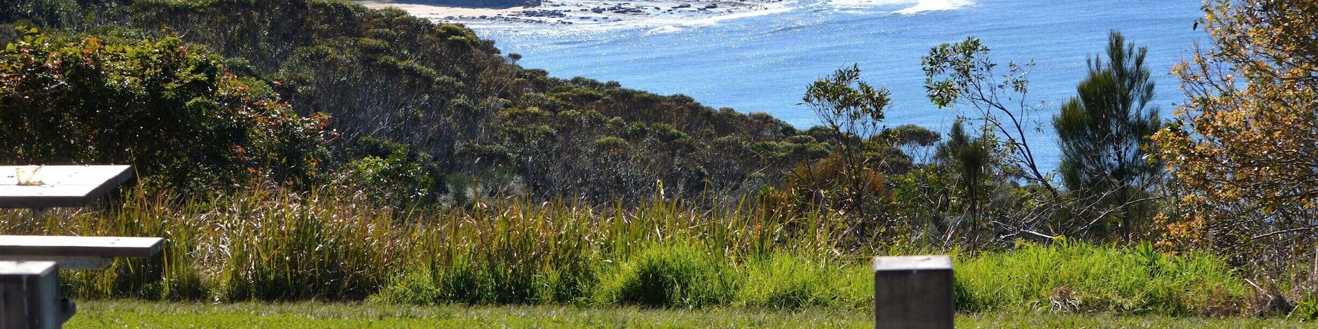 A sensational place to pull out the picnic rug.
Views are across to The Entrance and up to Norah Head and beyond.
A popular place to spot the whales migrating. Also a great little spot to see the local dolphins and the other flora and fauna. A stunning walk up the coastline too.
One of those 'Local' kept secrets....