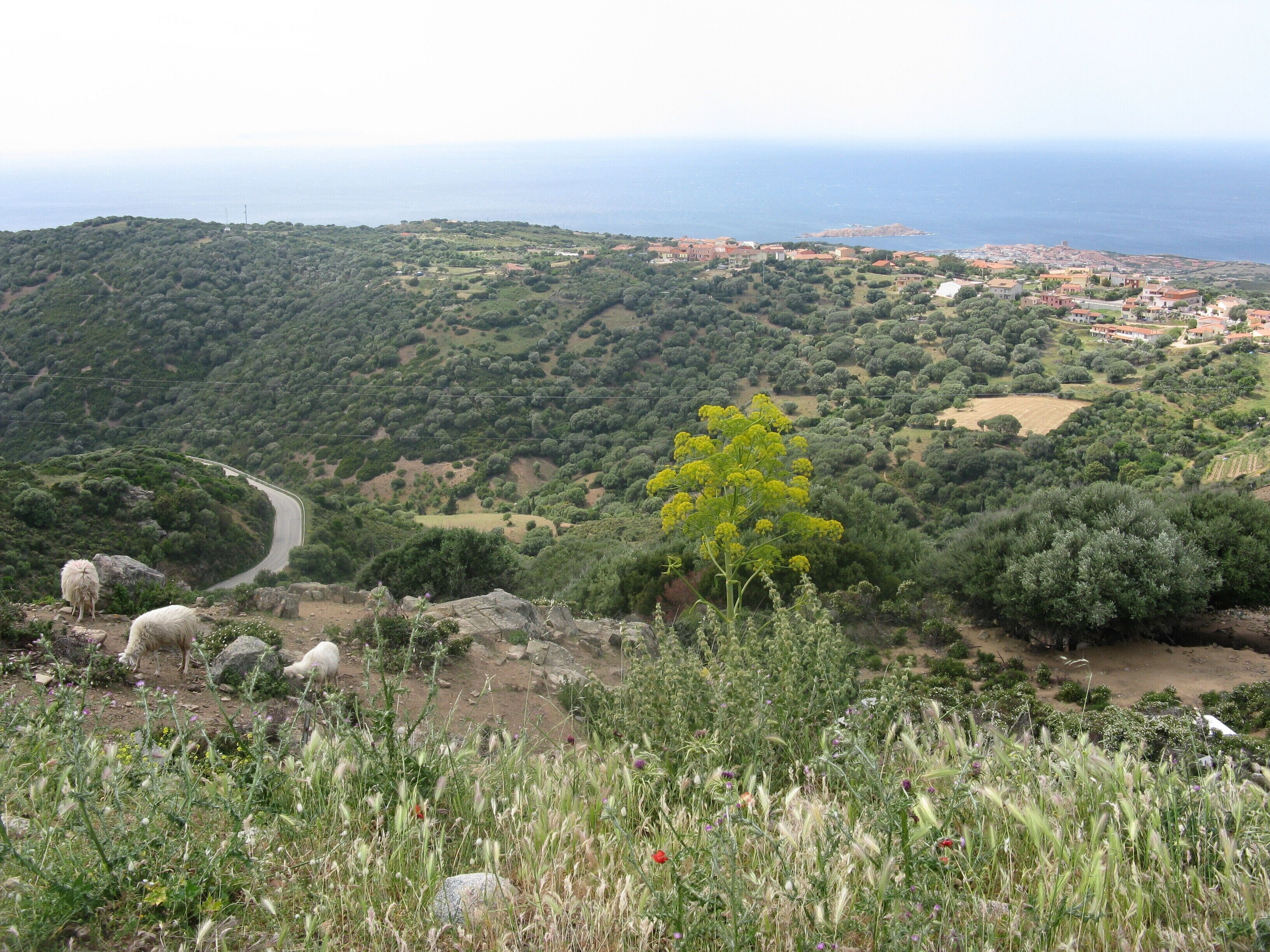 L'ISOLA ROSSA (TRINITA' D'AGULTU E VIGNOLA)