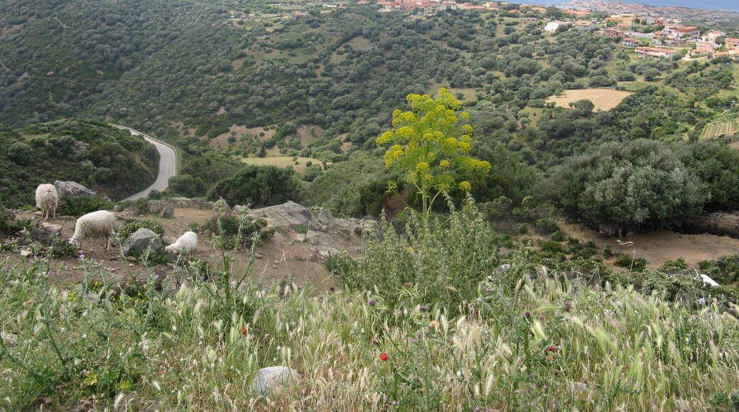 L'ISOLA ROSSA (TRINITA' D'AGULTU E VIGNOLA)