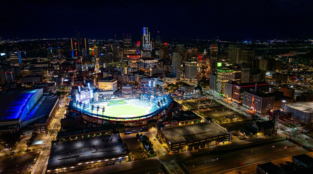 Comerica Park