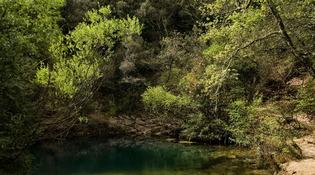Résurgence vauclusienne de Font-Vive à Grospierres, Ardèche, France