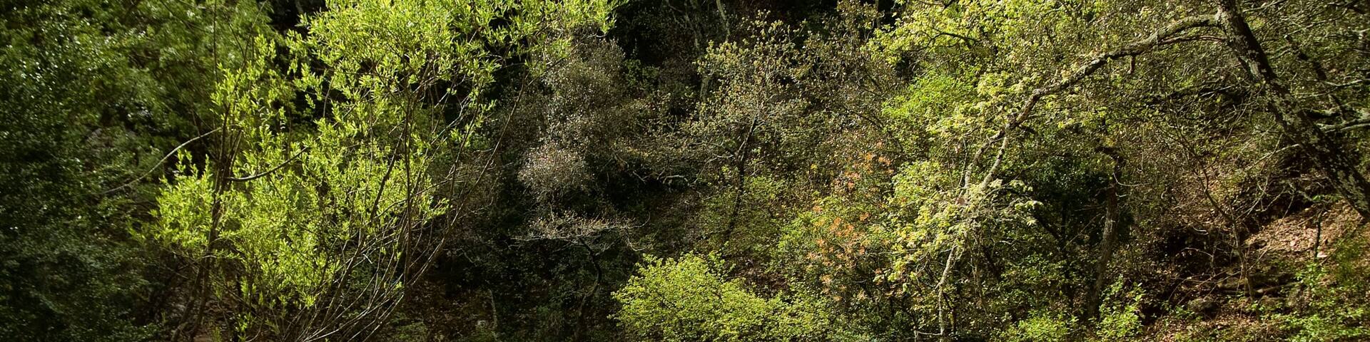 Résurgence vauclusienne de Font-Vive à Grospierres, Ardèche, France