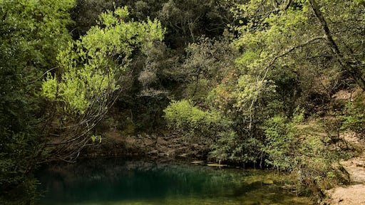Résurgence vauclusienne de Font-Vive à Grospierres, Ardèche, France