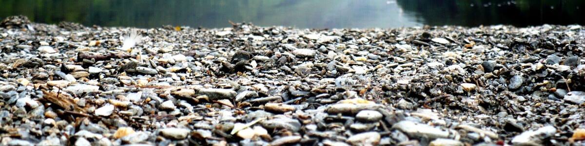 Upper Lake, in this amazing park, part of the Wicklow way. You will find unspoilt mountain trails to hike with a breathtaking scenery! #NationalPark