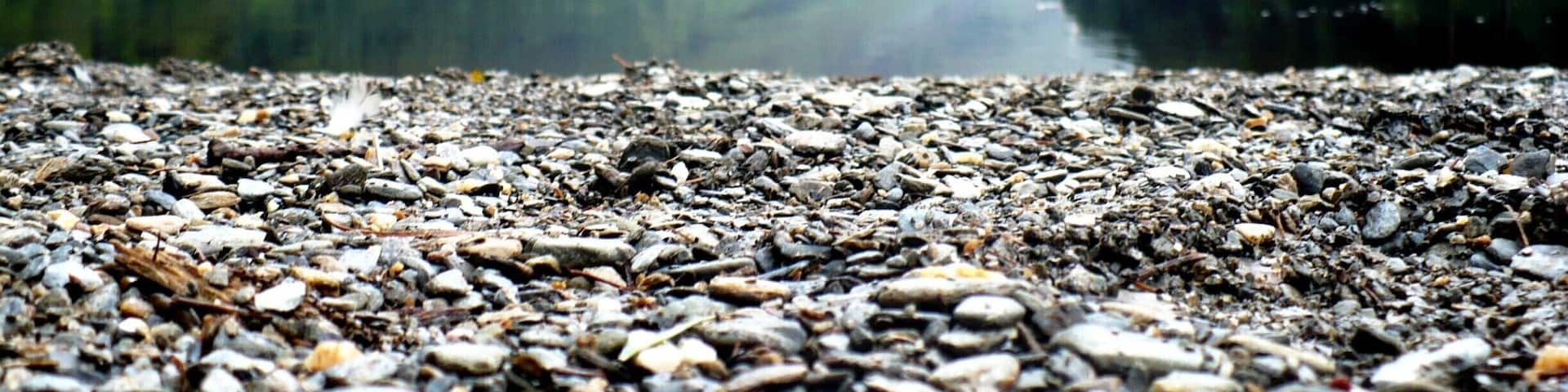 Upper Lake, in this amazing park, part of the Wicklow way. You will find unspoilt mountain trails to hike with a breathtaking scenery! #NationalPark