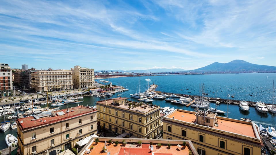 A harbor with numerous boats, a mountain in the background, and a cityscape with historic buildings.