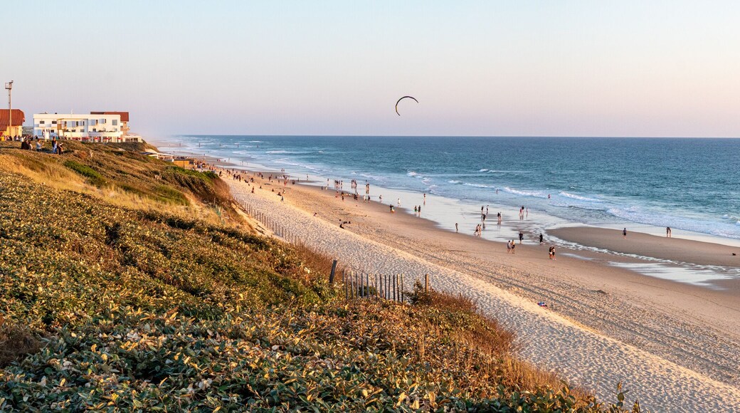 Panorama Biscarrosse - côte landaise
