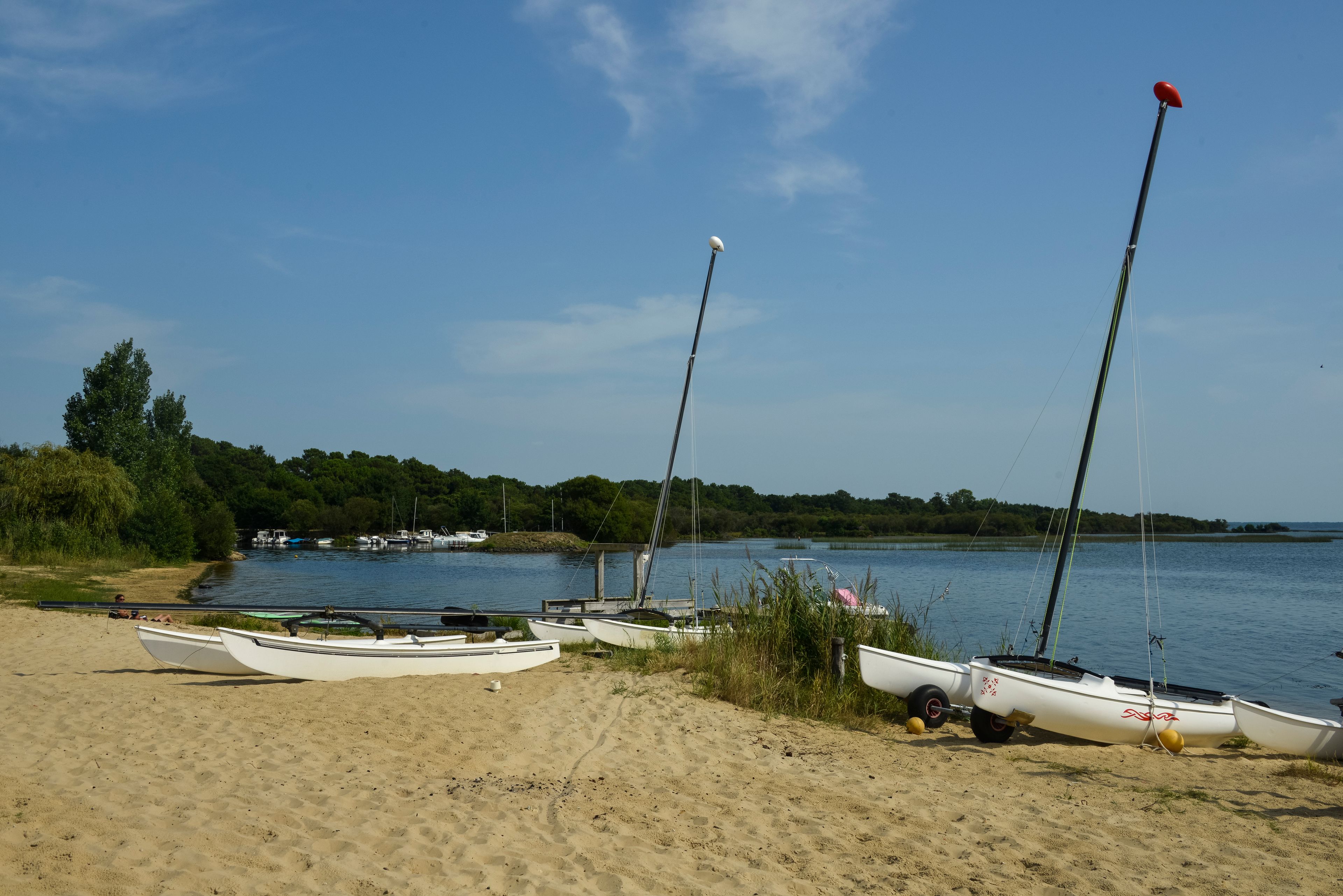 Lac de Biscarrosse, Landes, 40, France