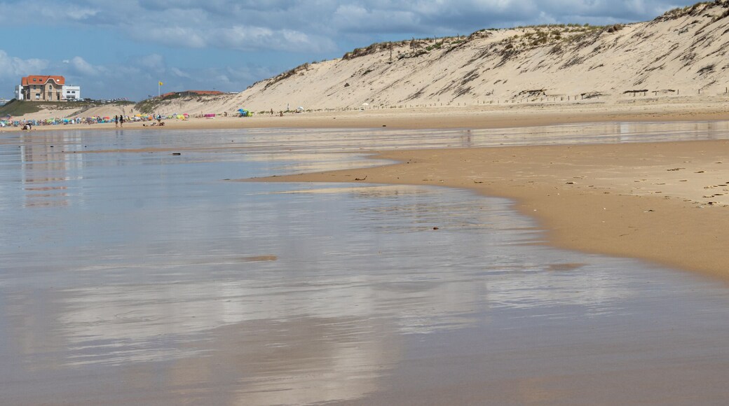 Plage de Biscarrosse - Landes
