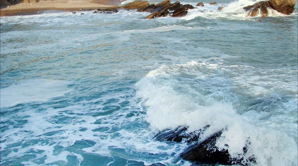 la côte de Cayola près des Sables d'Olonne Photo Annie Dalbéra