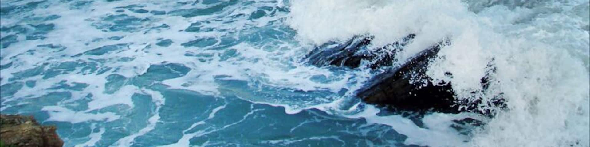 la cÎte de Cayola prÚs des Sables d'Olonne Photo Annie Dalbéra