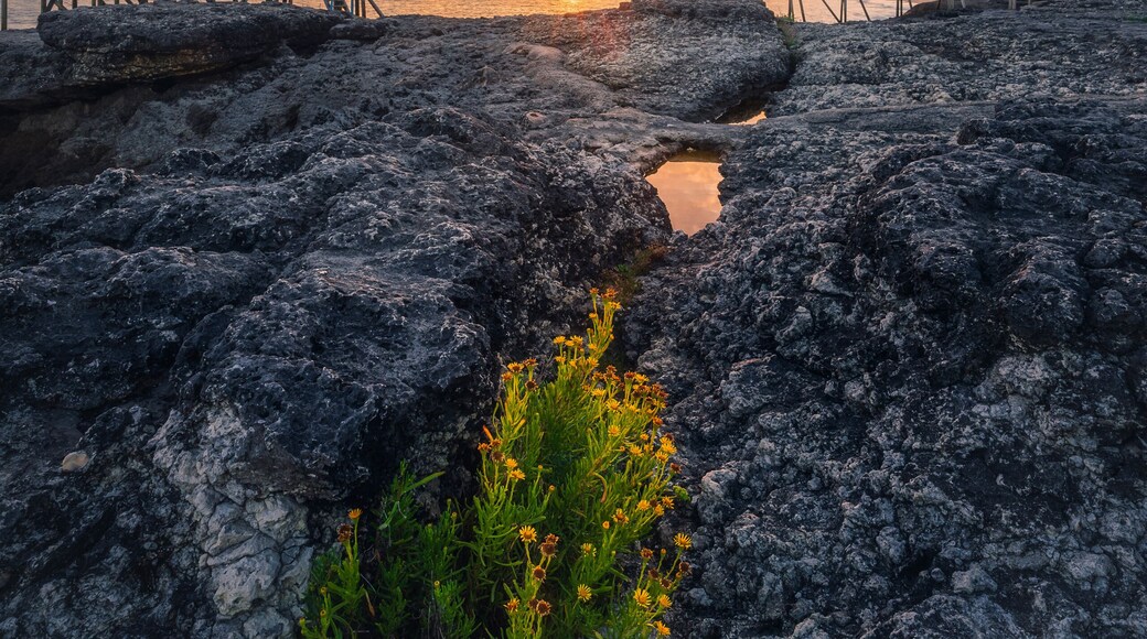 Sunset landscapes at the coastline of Saint-palais-sur-mer, with traditional carrelets along the sea in Charente-Maritime, France