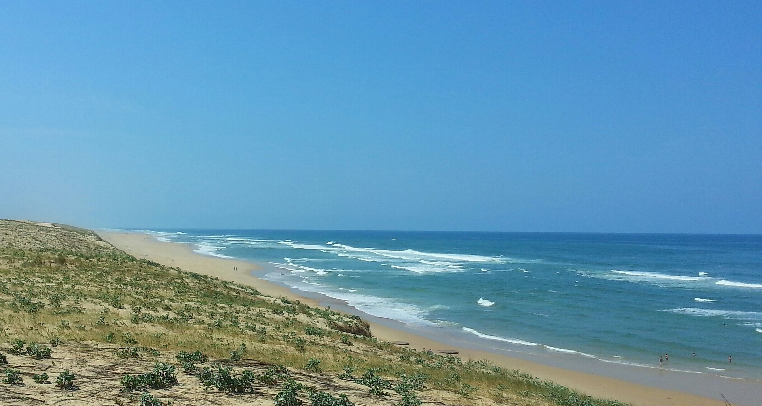 Sur la dune de Messanges Plage