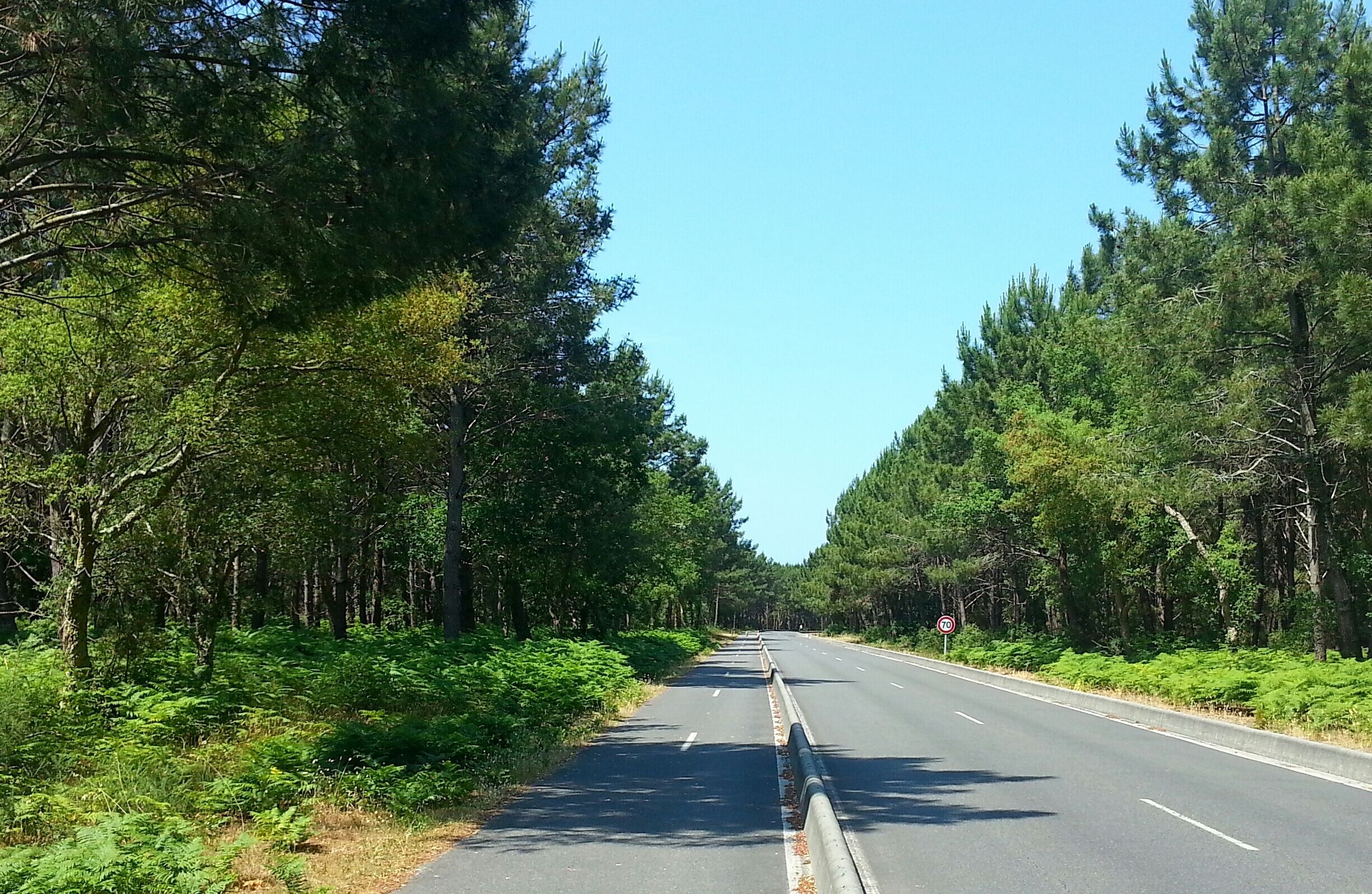 La route, entre Messanges et Messanges Plage