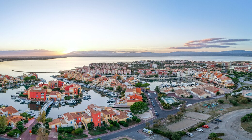 ๋ฅด ๋ฐ์นด๋ ์ค