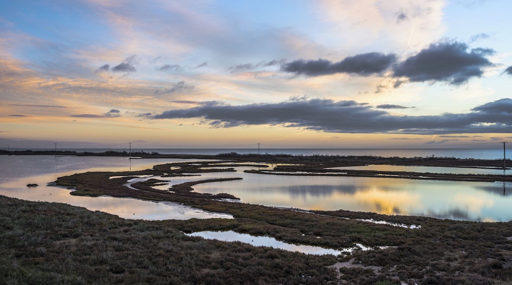 Ponds on the littoral - Les Aresquiers, Frontignan, Hérault, France