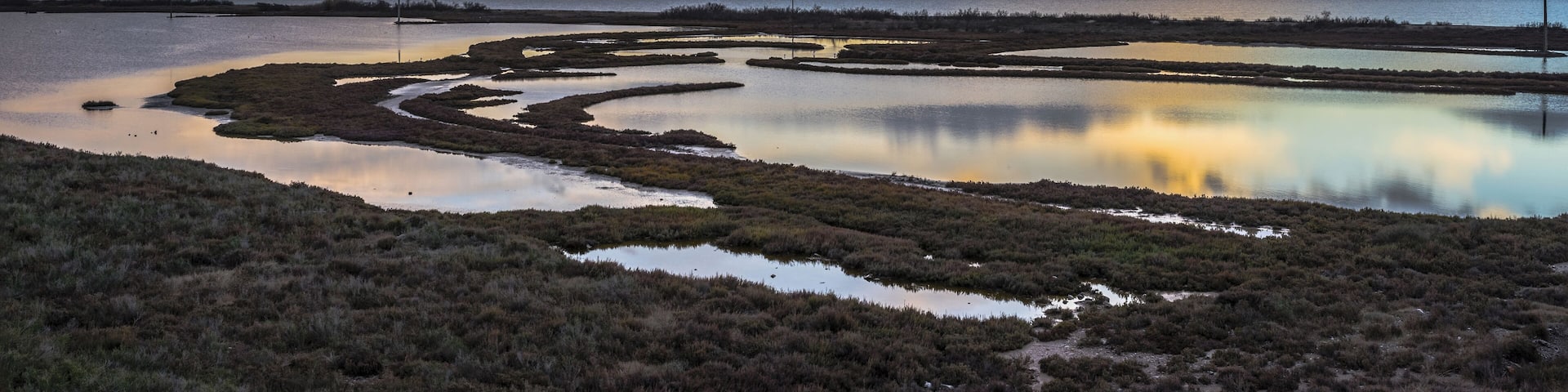 Ponds on the littoral - Les Aresquiers, Frontignan, Hérault, France