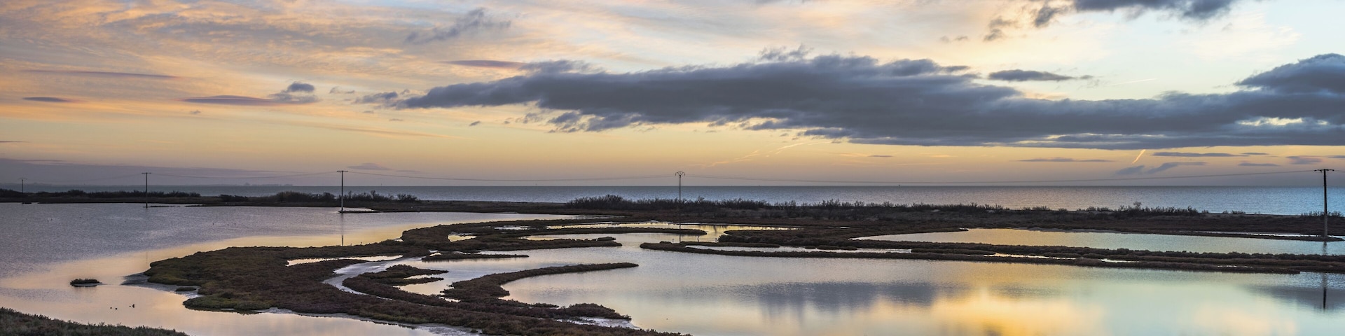 Ponds on the littoral - Les Aresquiers, Frontignan, Hérault, France