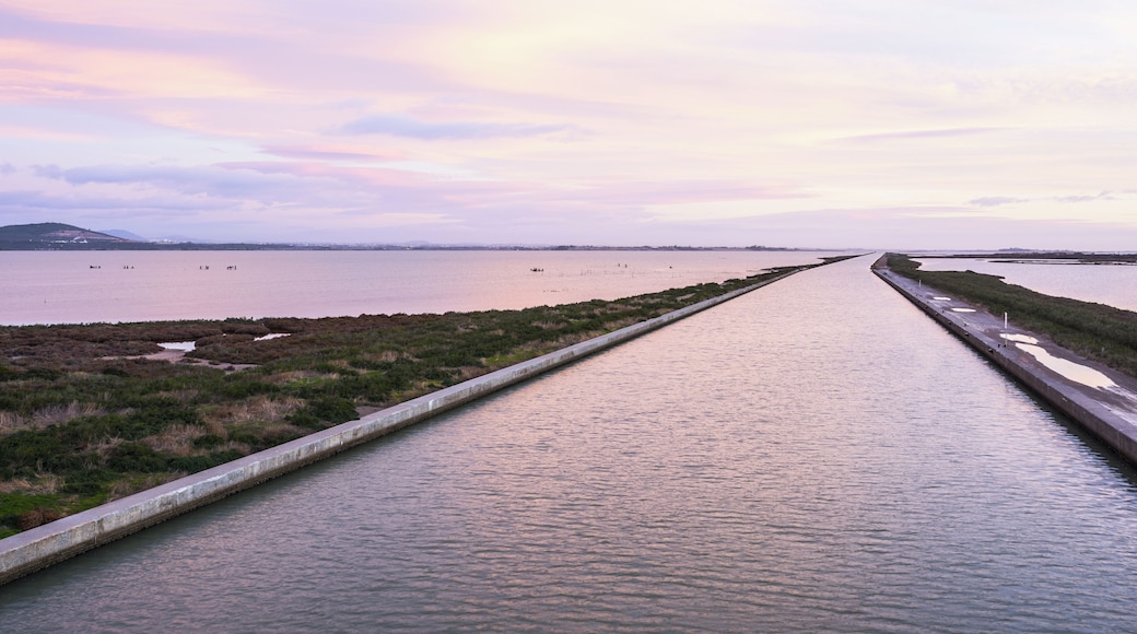 Canal du Rhône à Sète - From the bridge of the D114 (departmental road), Frontignan, Hérault, France