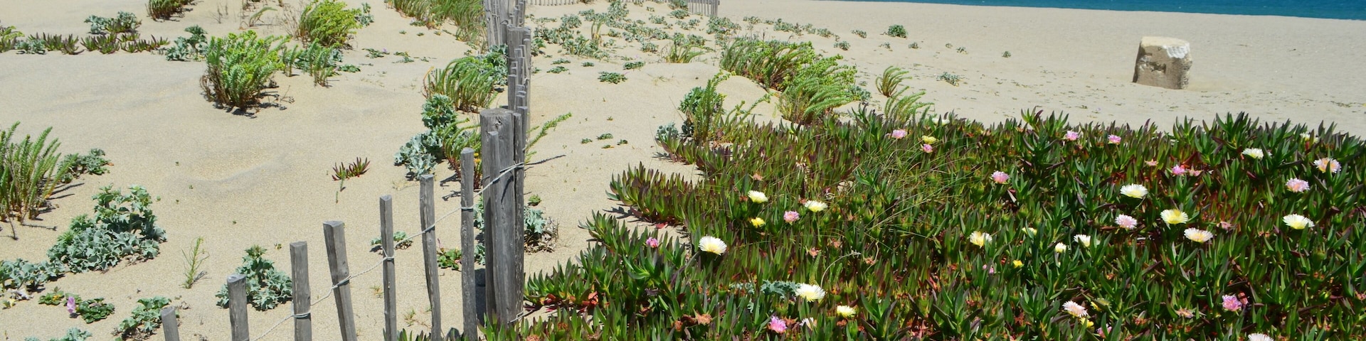 Plage de Torreilles ( Pyrénées Orientales - Occitanie - France)