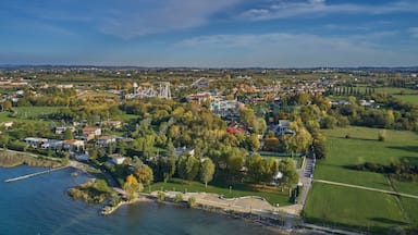 An aerial view of a lakeside town with a park, amusement park, and residential area.